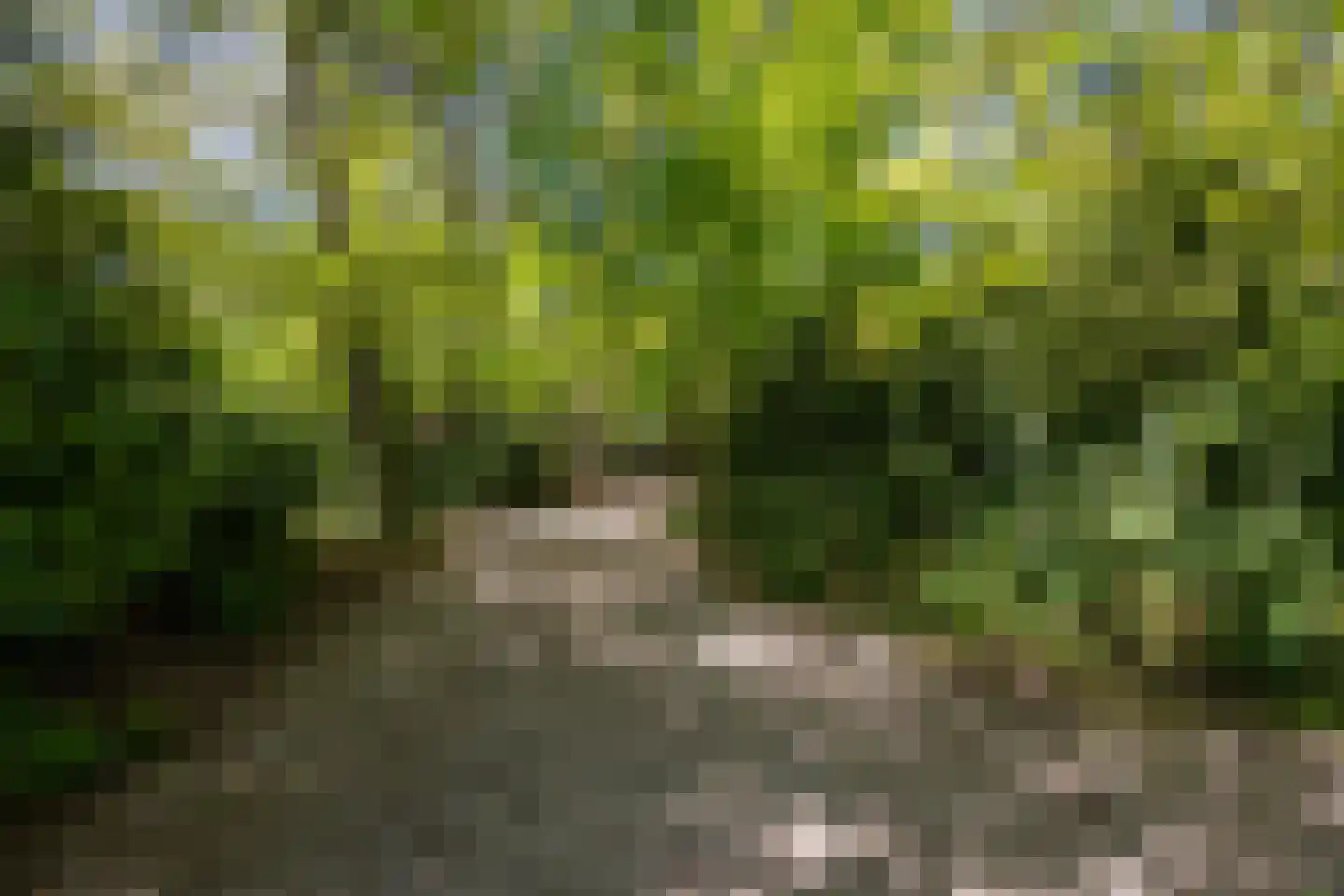 Nieuwe 's-Gravelandseweg 81 Bussum thumbnail 38