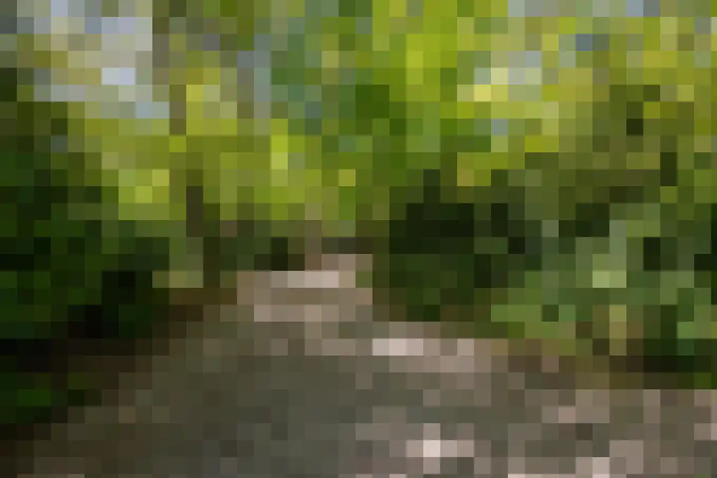 Nieuwe 's-Gravelandseweg 81 Bussum thumbnail 38