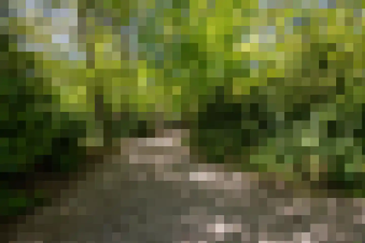 Nieuwe 's-Gravelandseweg 81 Bussum thumbnail 39