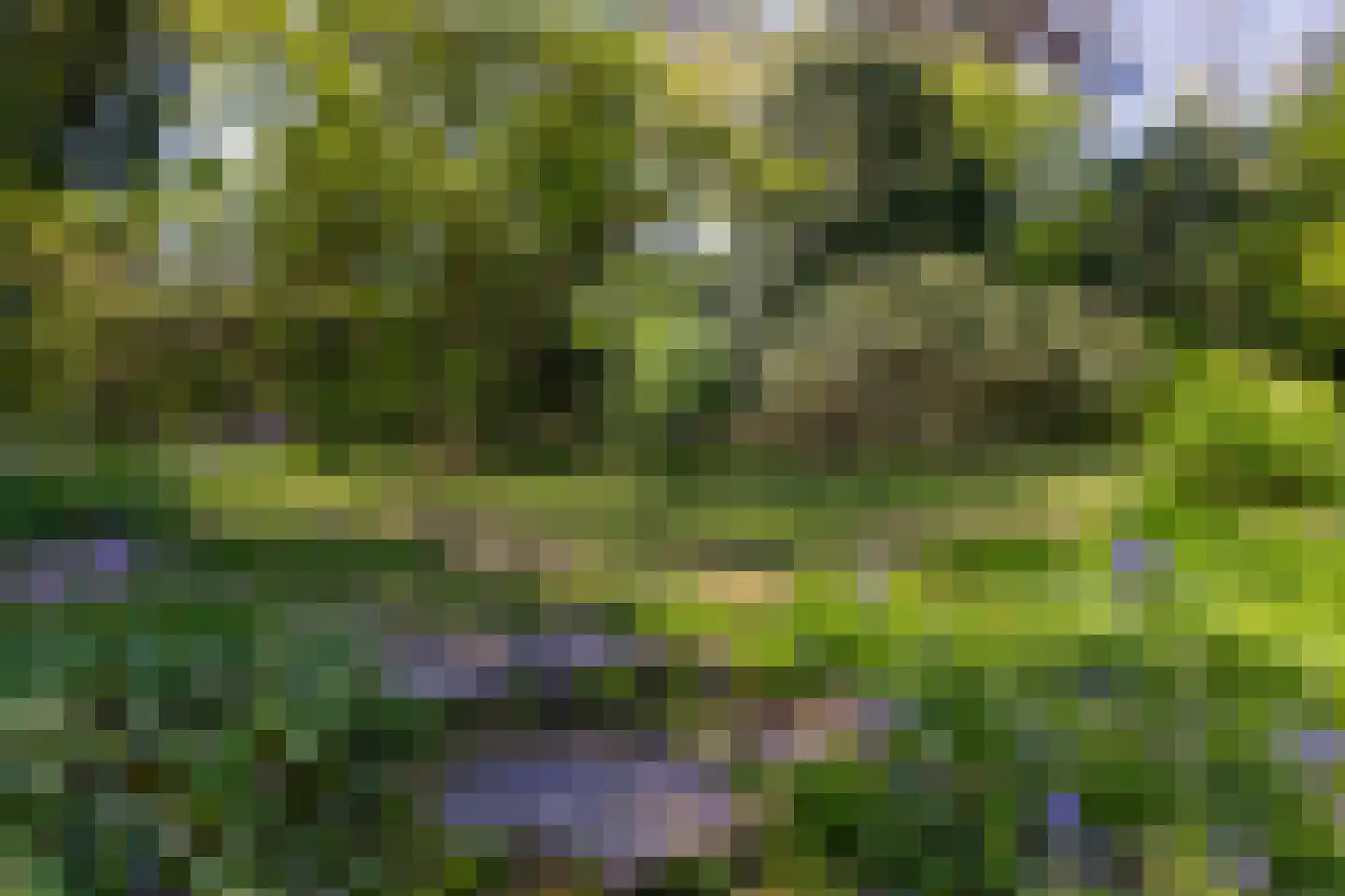 Nieuwe 's-Gravelandseweg 81 Bussum thumbnail 39