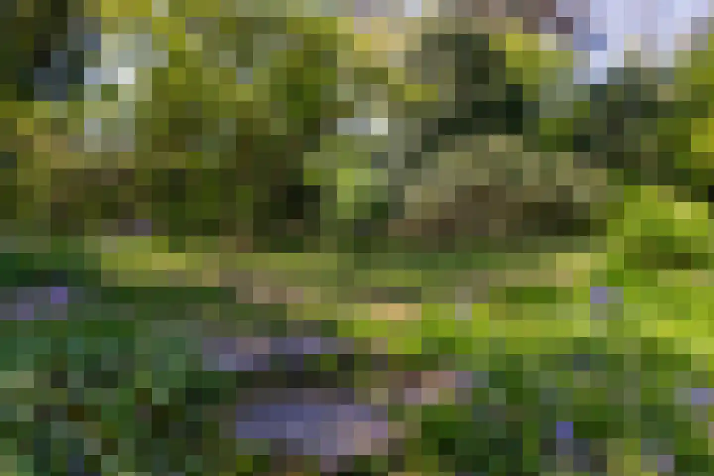 Nieuwe 's-Gravelandseweg 81 Bussum thumbnail 40