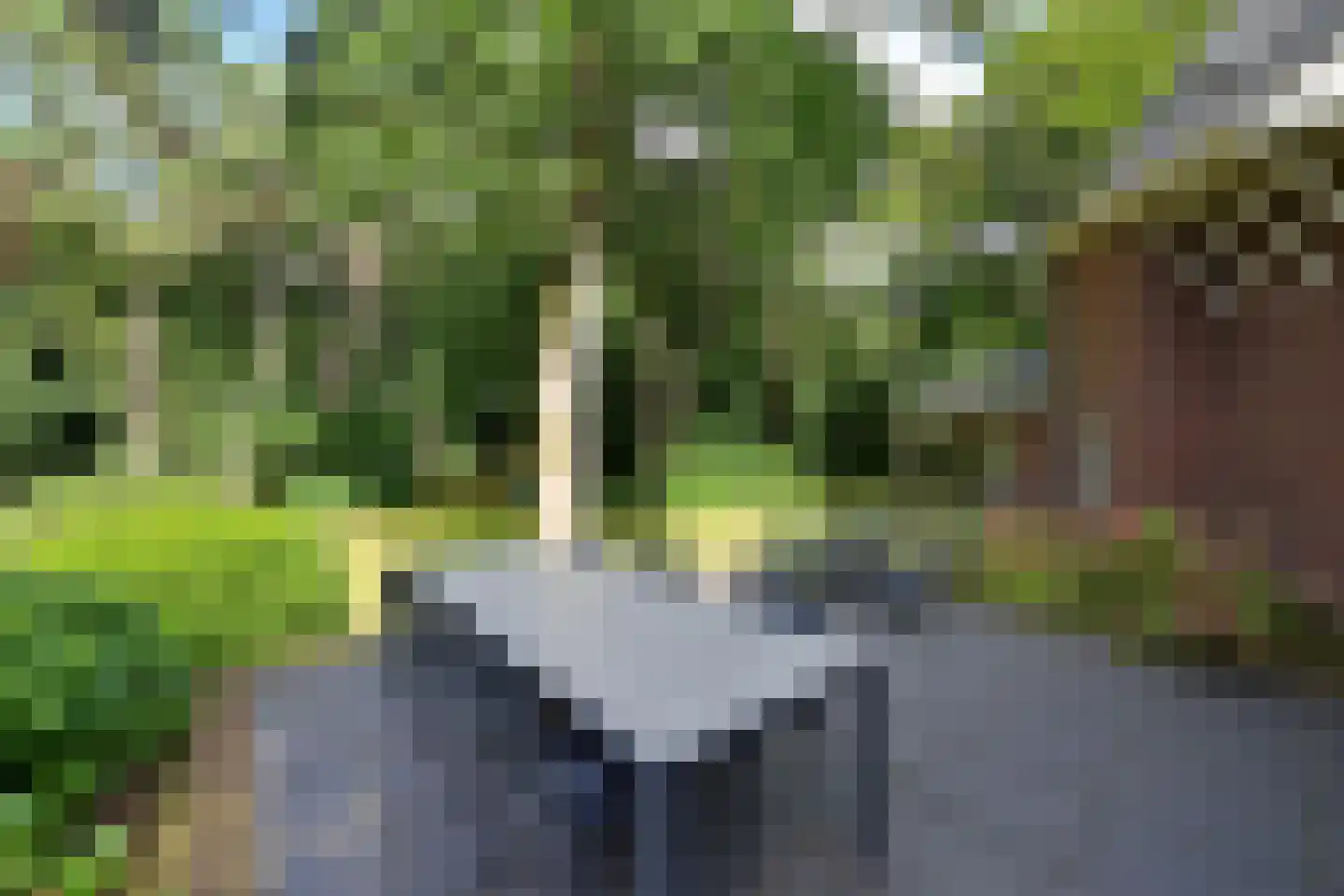 Nieuwe 's-Gravelandseweg 96 Bussum thumbnail 30