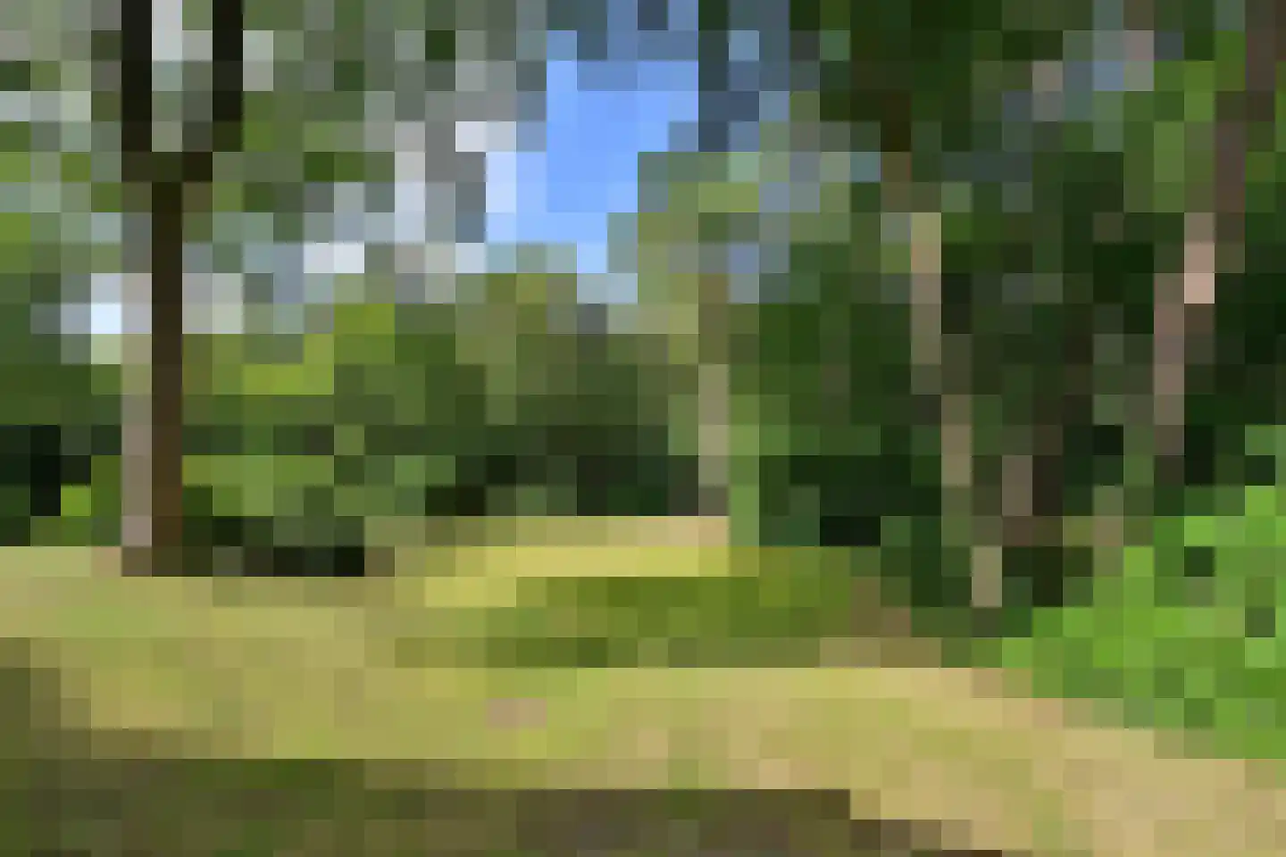 Nieuwe 's-Gravelandseweg 96 Bussum thumbnail 32