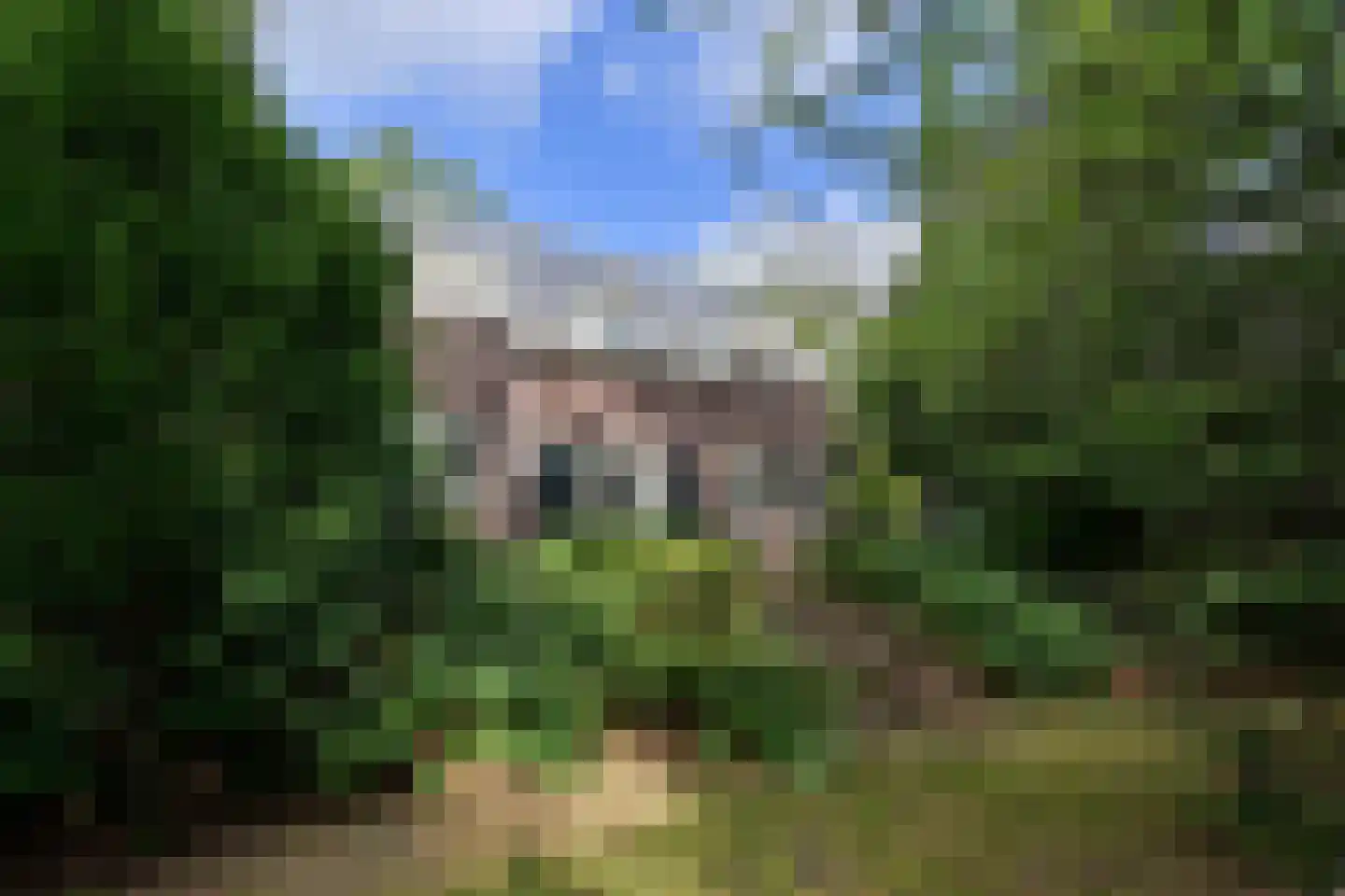 Nieuwe 's-Gravelandseweg 96 Bussum thumbnail 37