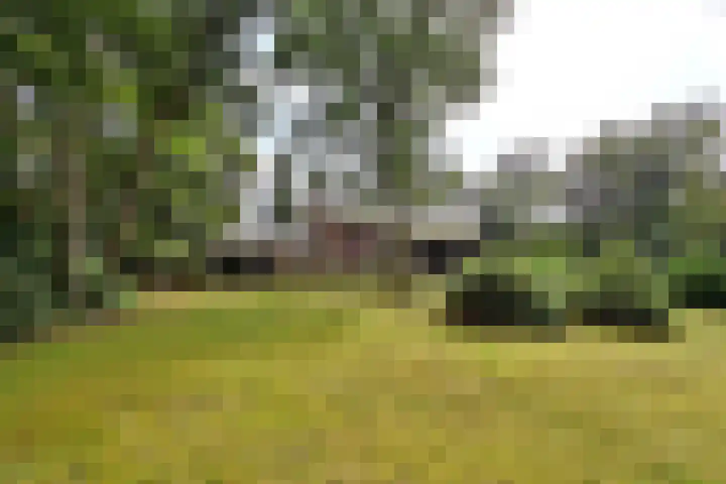 Nieuwe 's-Gravelandseweg 96 Bussum thumbnail 42