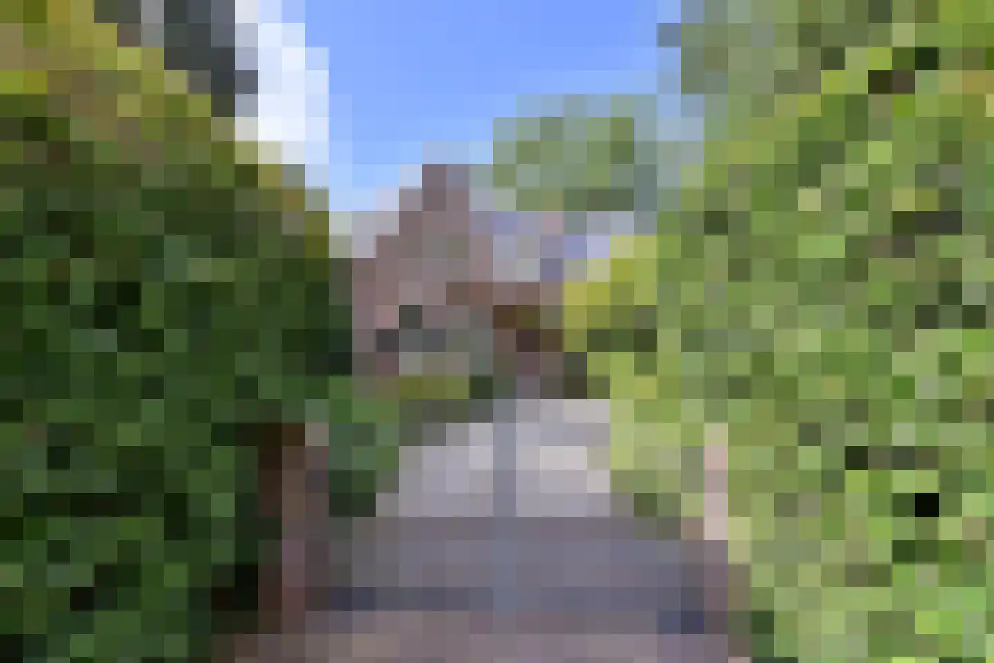 Nieuwe 's-Gravelandseweg 96 Bussum thumbnail 43