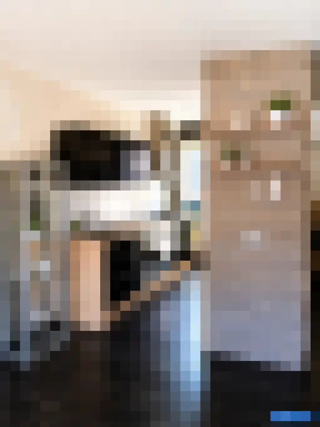 Nieuwe Schans 10 b Bunschoten-Spakenburg thumbnail 8