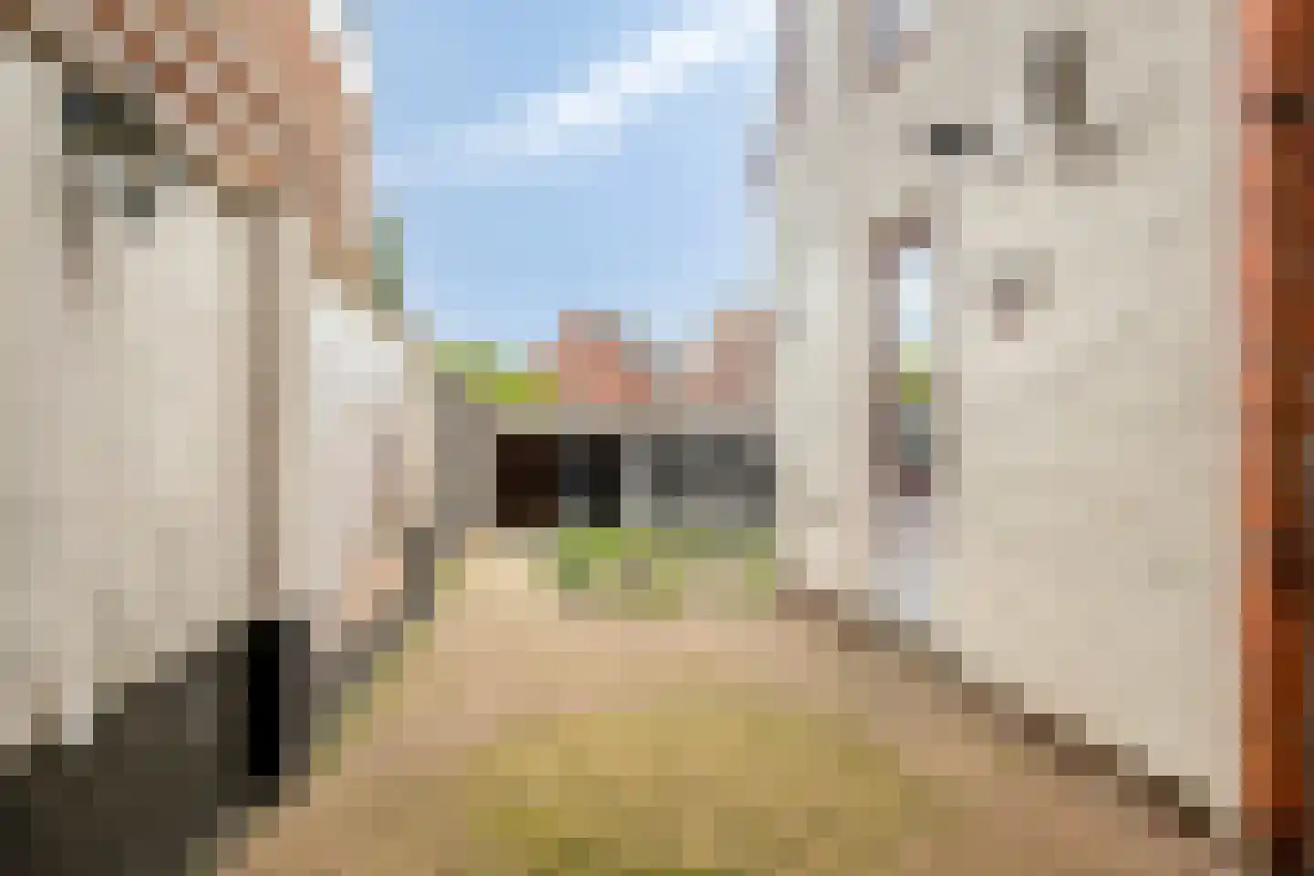 Nieuwe Schans 25 Bunschoten-Spakenburg thumbnail 19