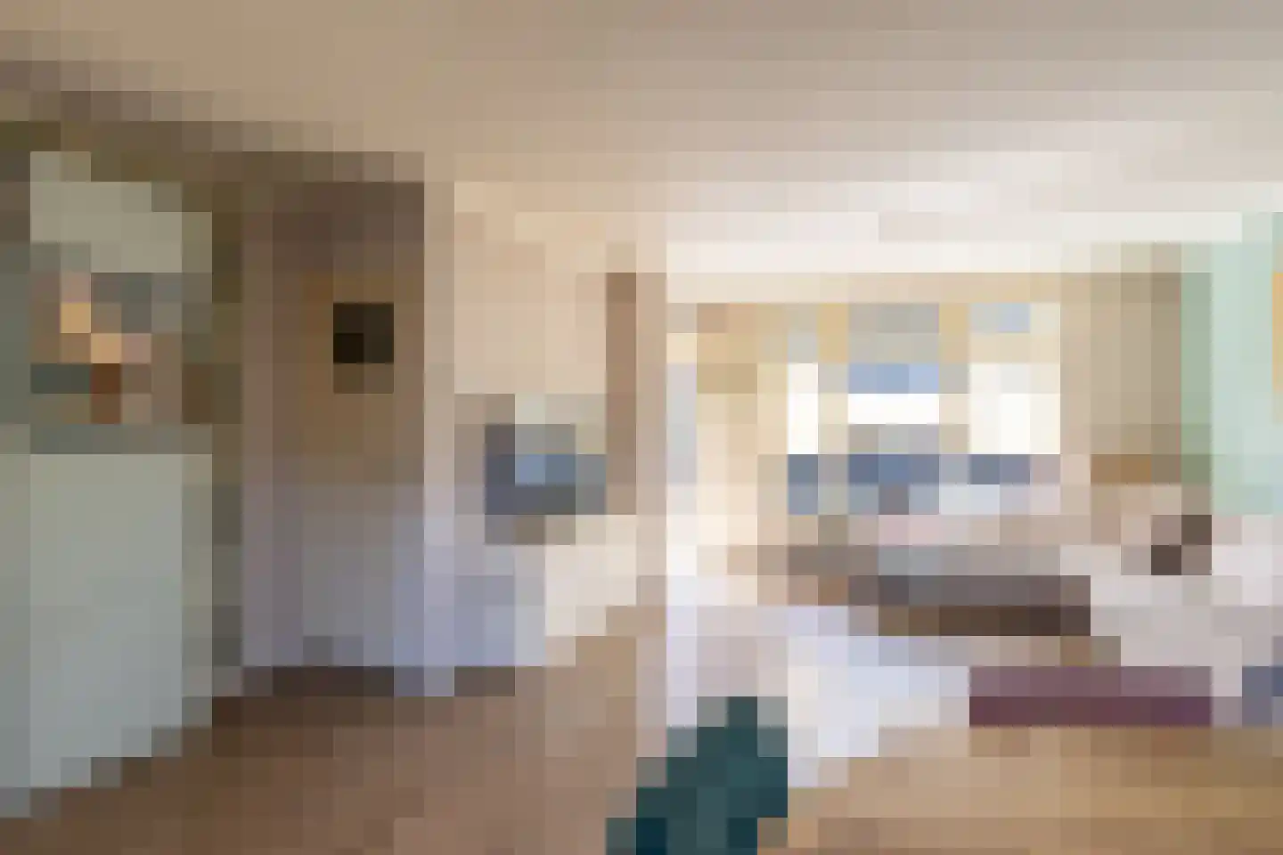 Nieuwe Schans 39 Bunschoten-Spakenburg thumbnail 8