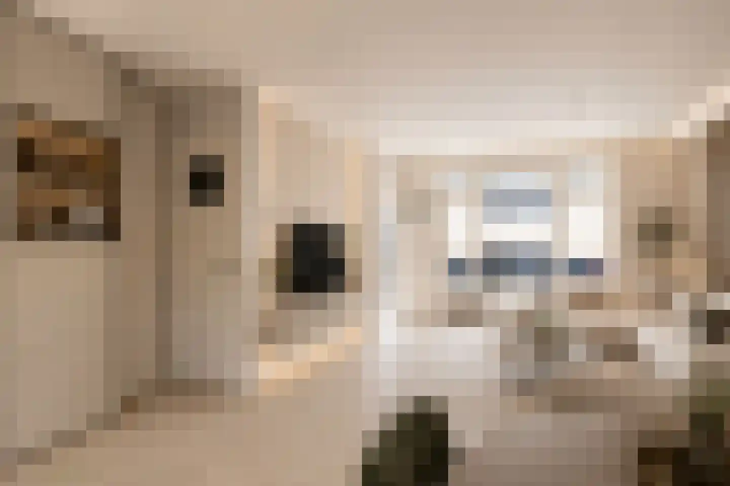 Nieuwe Schans 39 Bunschoten-Spakenburg thumbnail 9