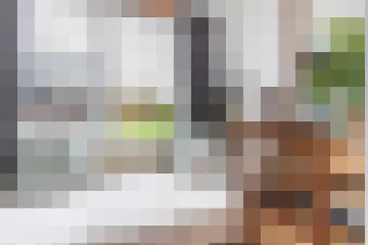 Nieuwe Schans 77 Bunschoten-Spakenburg thumbnail 13