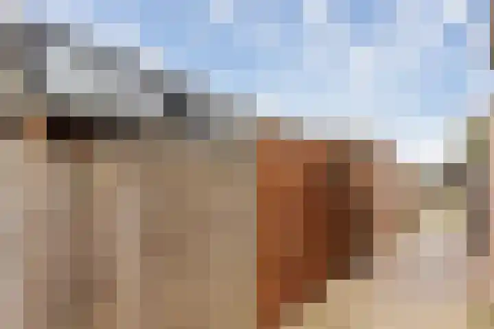 Nieuwe Schans 77 Bunschoten-Spakenburg thumbnail 29