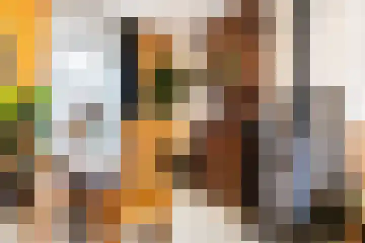 Nieuwe Schans 77 Bunschoten-Spakenburg thumbnail 32