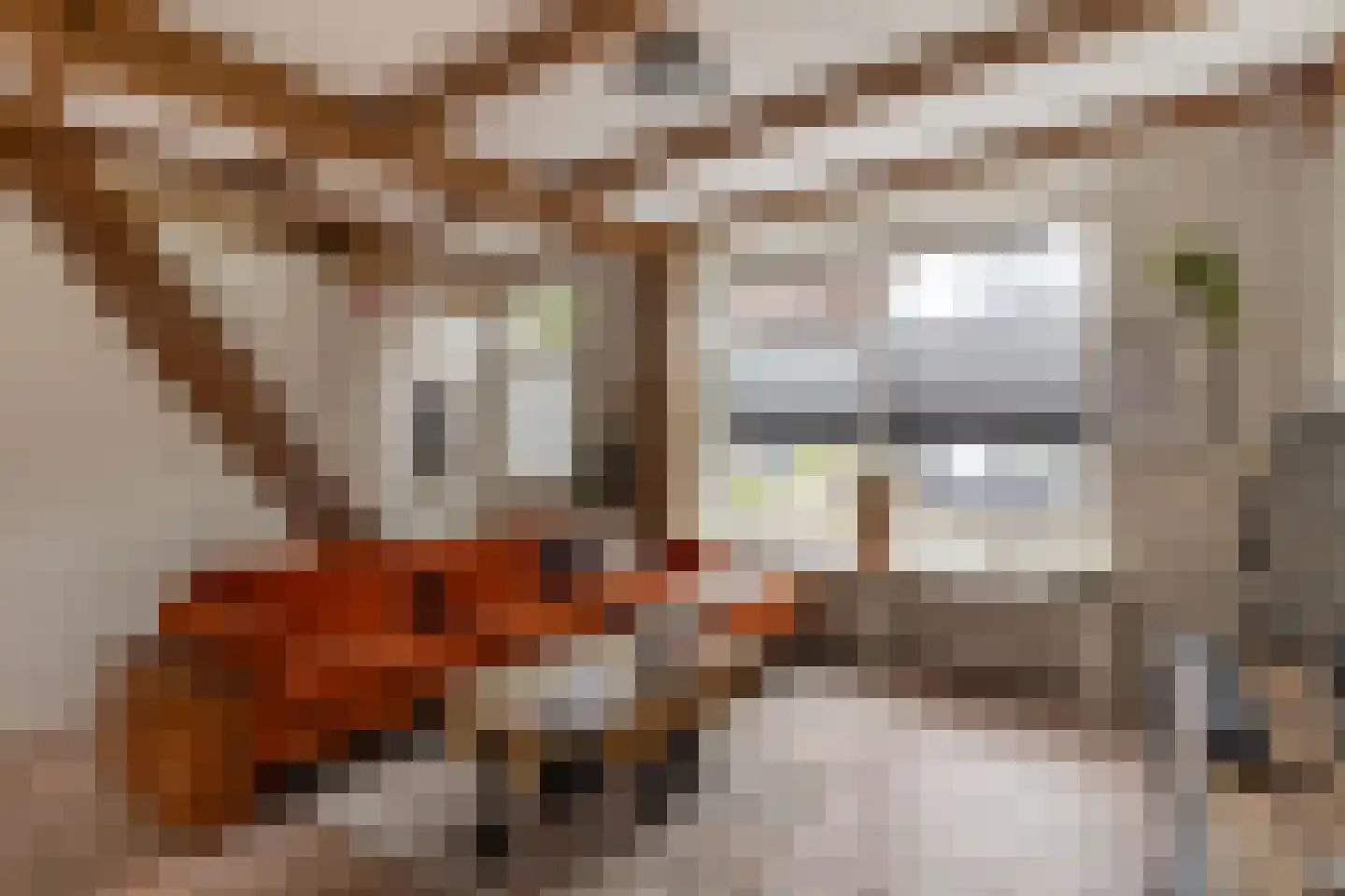 Nieuwe Schans 79 Bunschoten-Spakenburg thumbnail 10