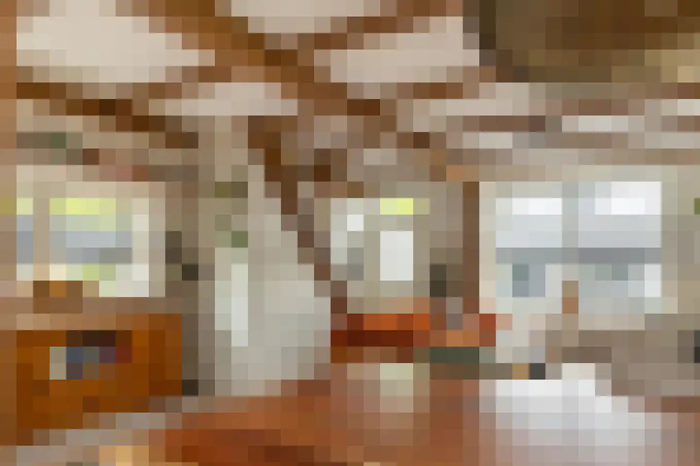 Nieuwe Schans 79 Bunschoten-Spakenburg thumbnail 12