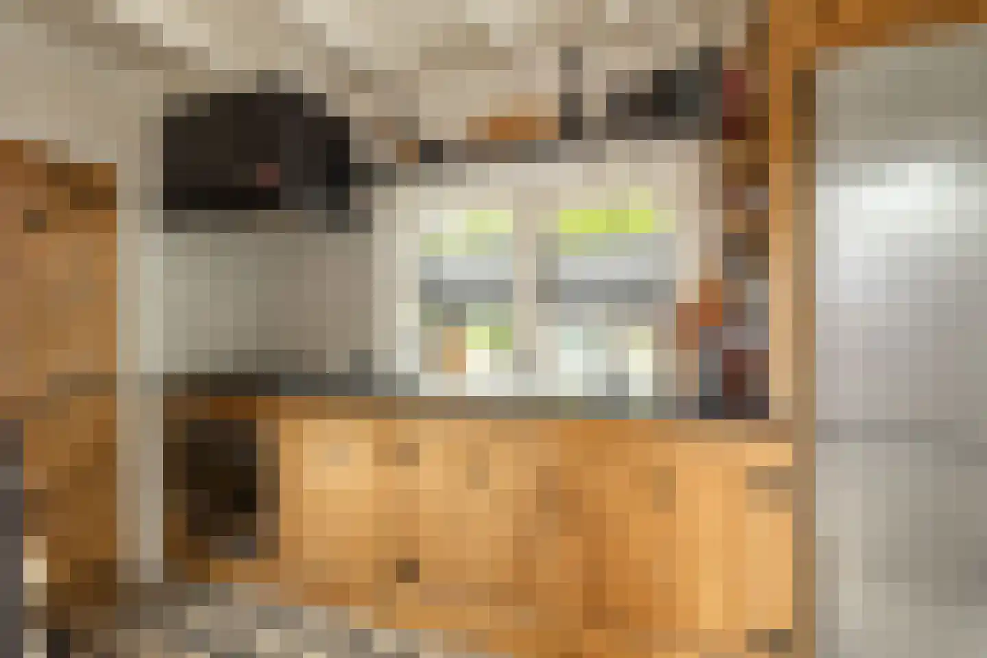Nieuwe Schans 79 Bunschoten-Spakenburg thumbnail 14