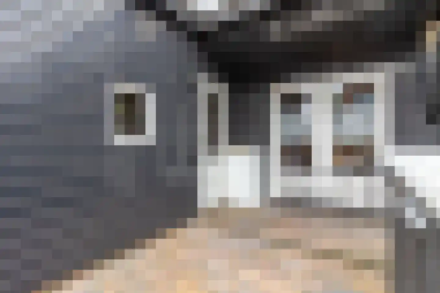 Nieuwe Schans 79 Bunschoten-Spakenburg thumbnail 31