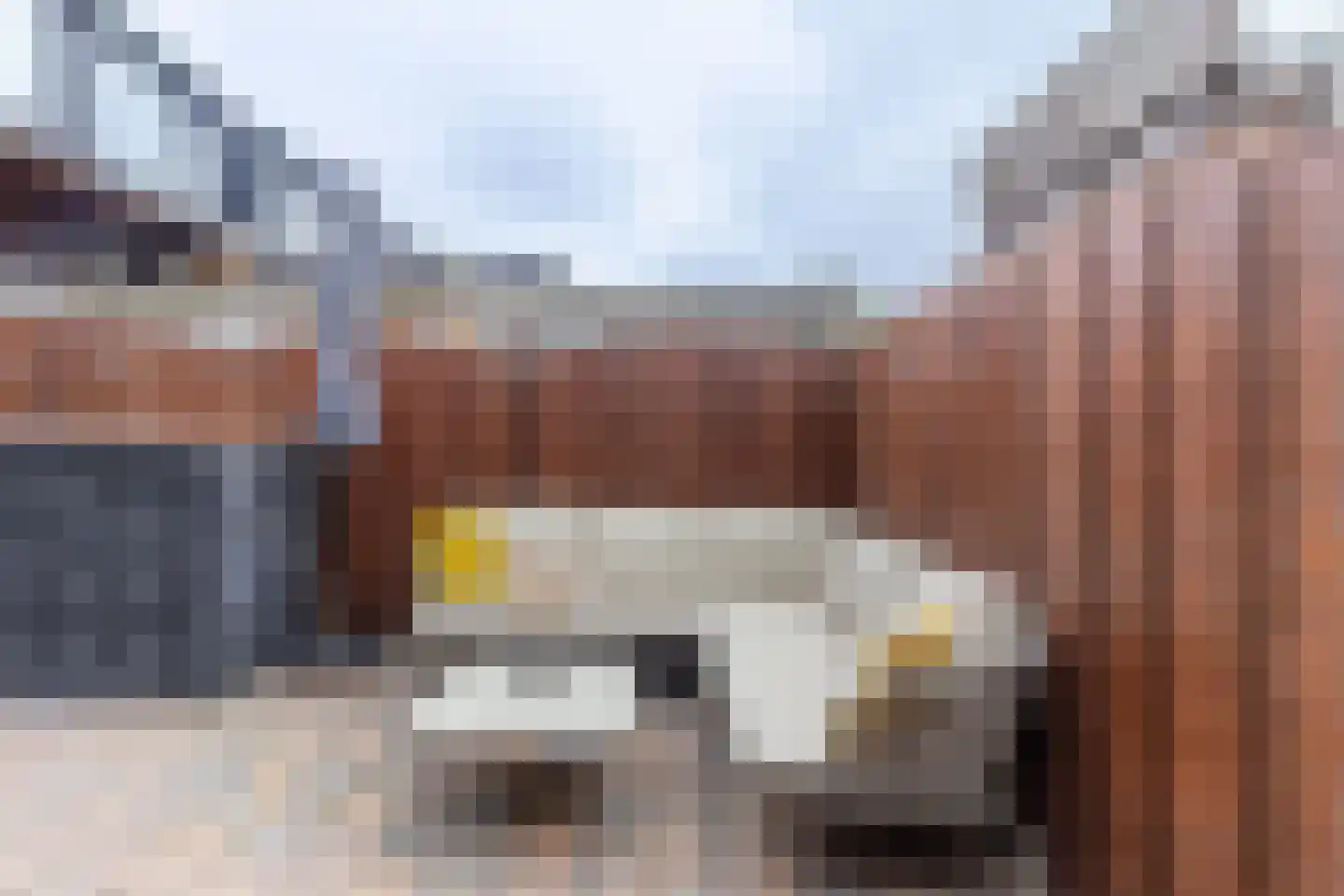 Nieuwe Schans 79 Bunschoten-Spakenburg thumbnail 33