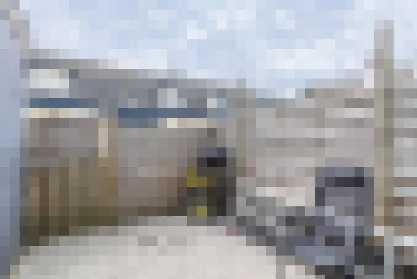Nieuwe Schans 90 Bunschoten-Spakenburg thumbnail 29