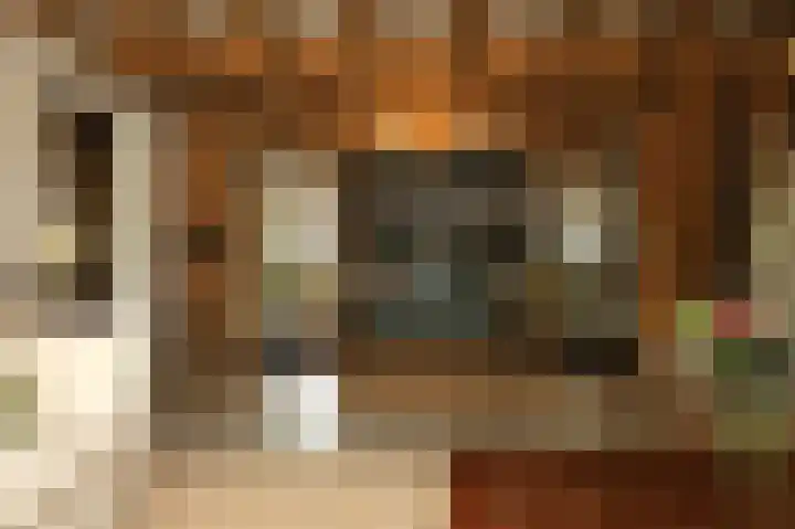 Nieuwe Schoolpad 2 B Hoorn thumbnail 14
