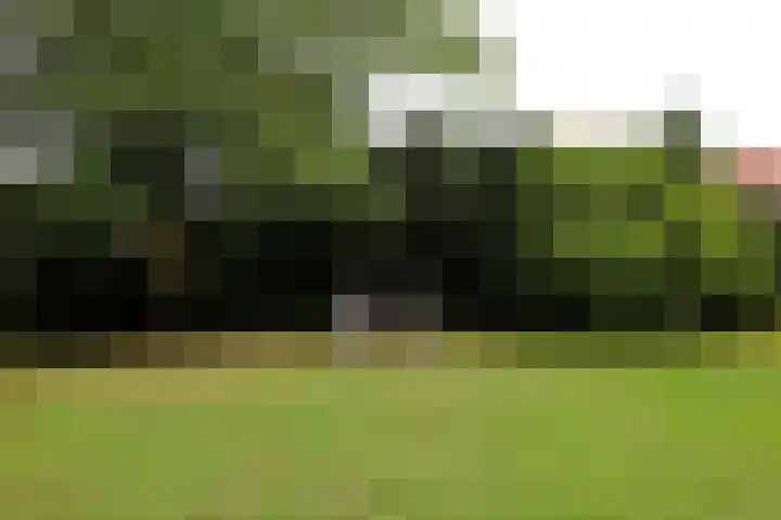 Nieuwe Schoolpad 2 B Hoorn thumbnail 34