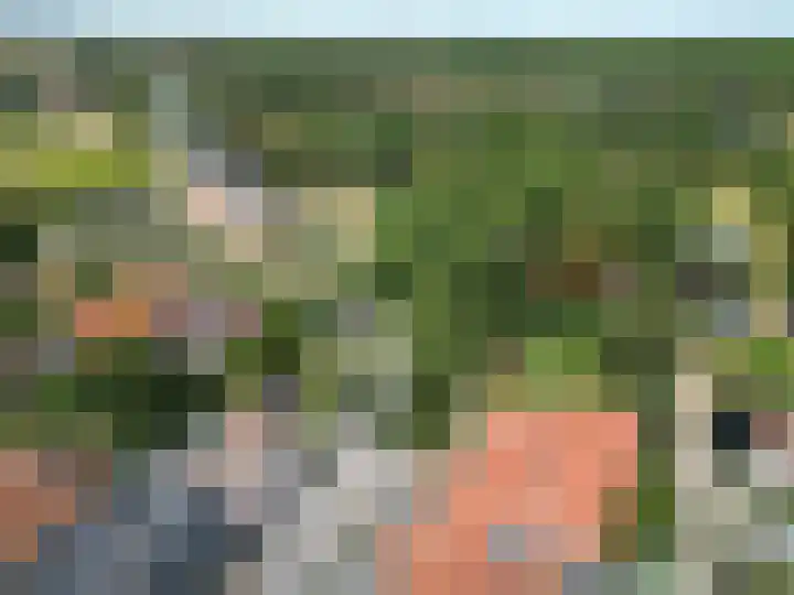 Nieuwe Schoolpad 2 B Hoorn thumbnail 4