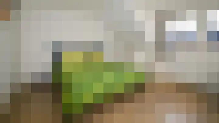 Nieuwe Schoolpad 2 Hoorn thumbnail 14