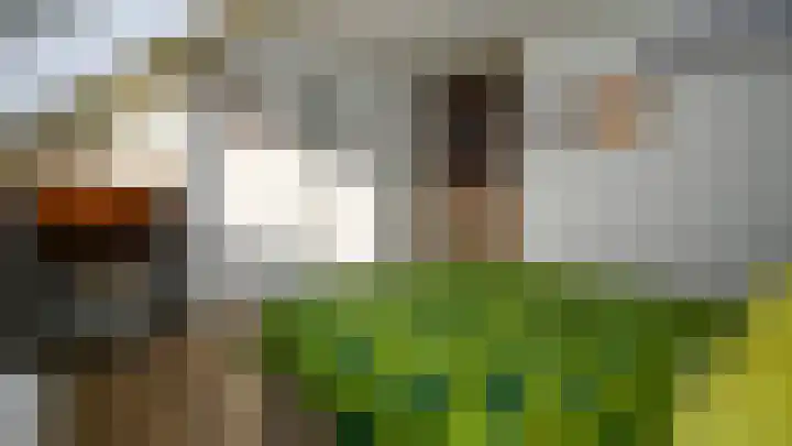 Nieuwe Schoolpad 2 Hoorn thumbnail 15