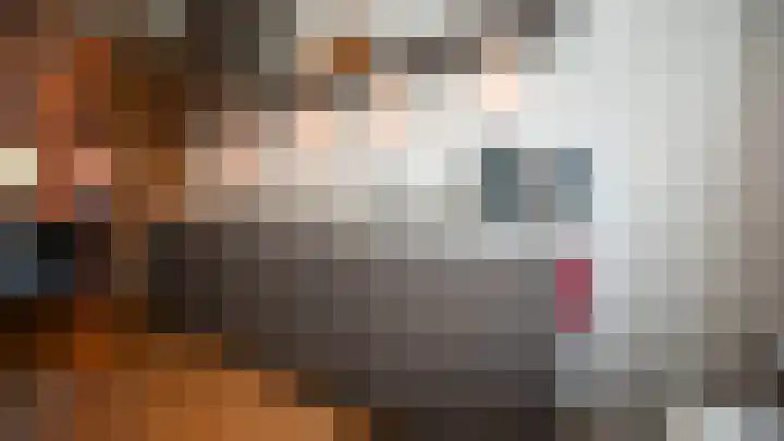 Nieuwe Schoolpad 2 Hoorn thumbnail 6