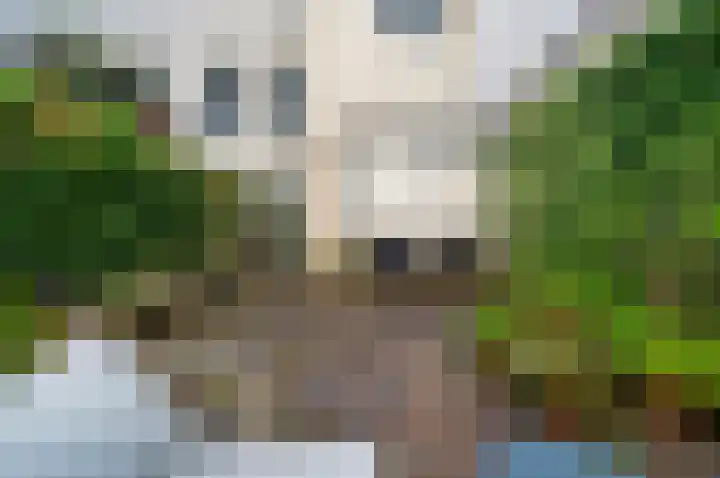 Nieuwe Schoolstraat 105 Den Haag thumbnail 5
