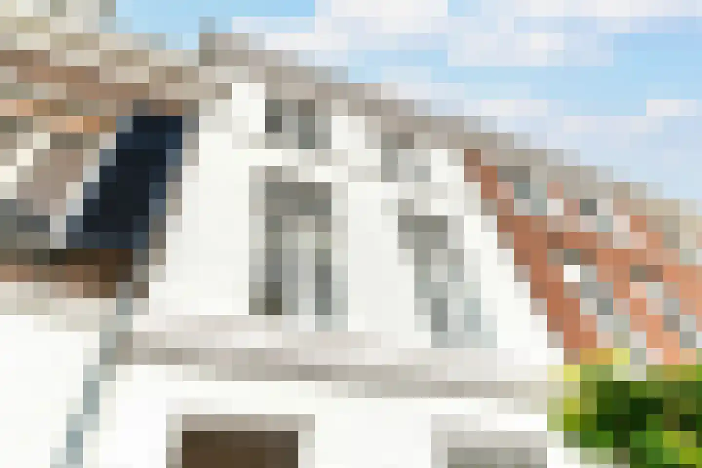 Nieuwe Schoolstraat 115 Den Haag thumbnail 32