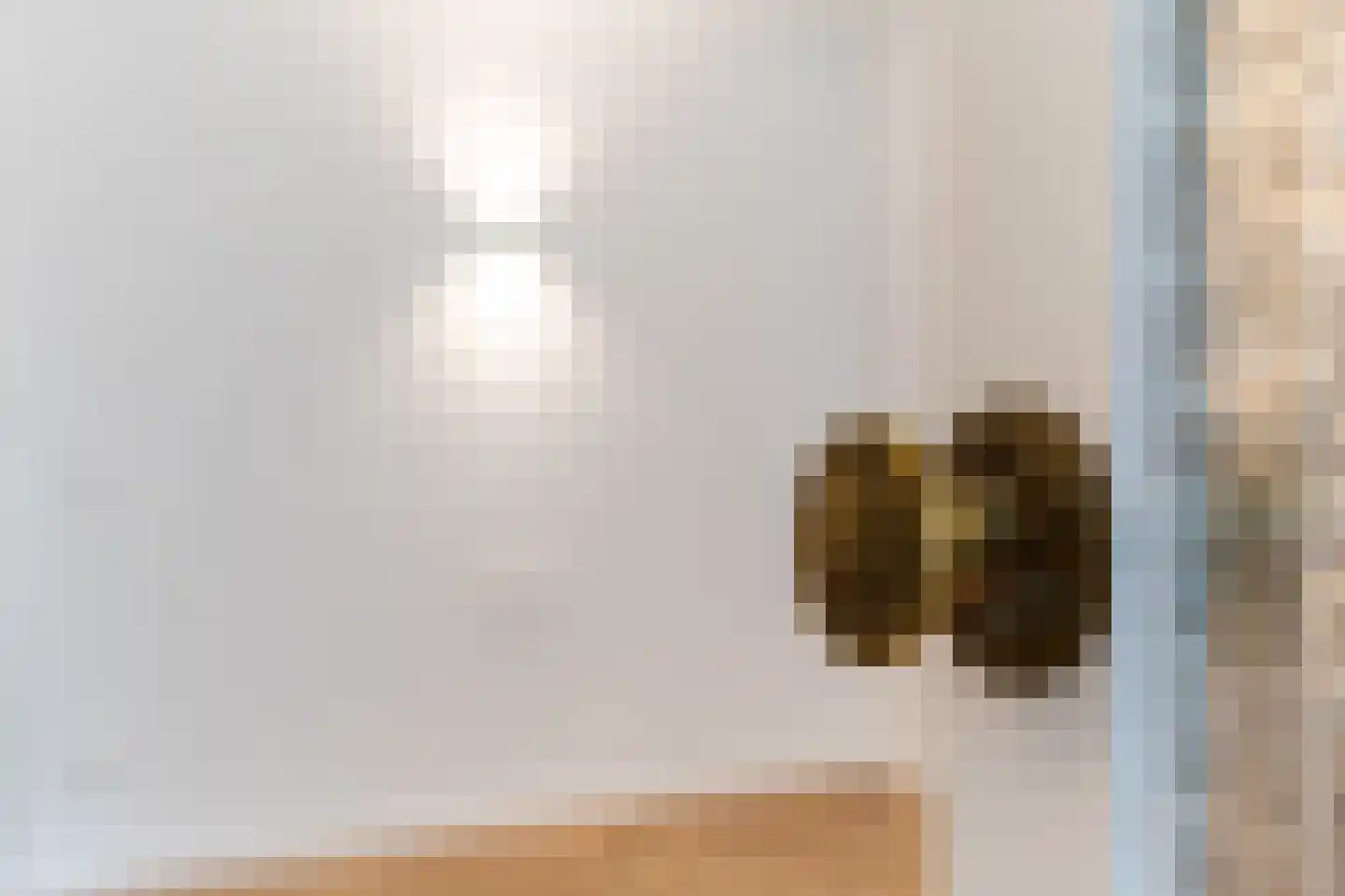 Nieuwe Schoolstraat 115 Den Haag thumbnail 33