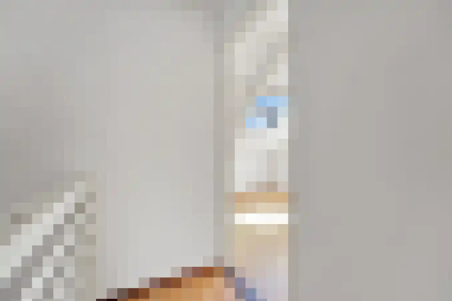 Nieuwe Schoolstraat 14 Delft thumbnail 14