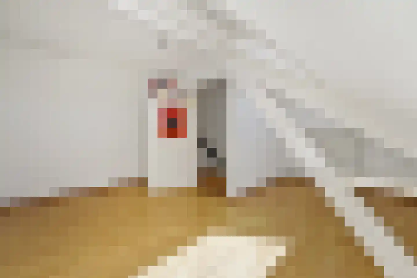 Nieuwe Schoolstraat 14 Delft thumbnail 16