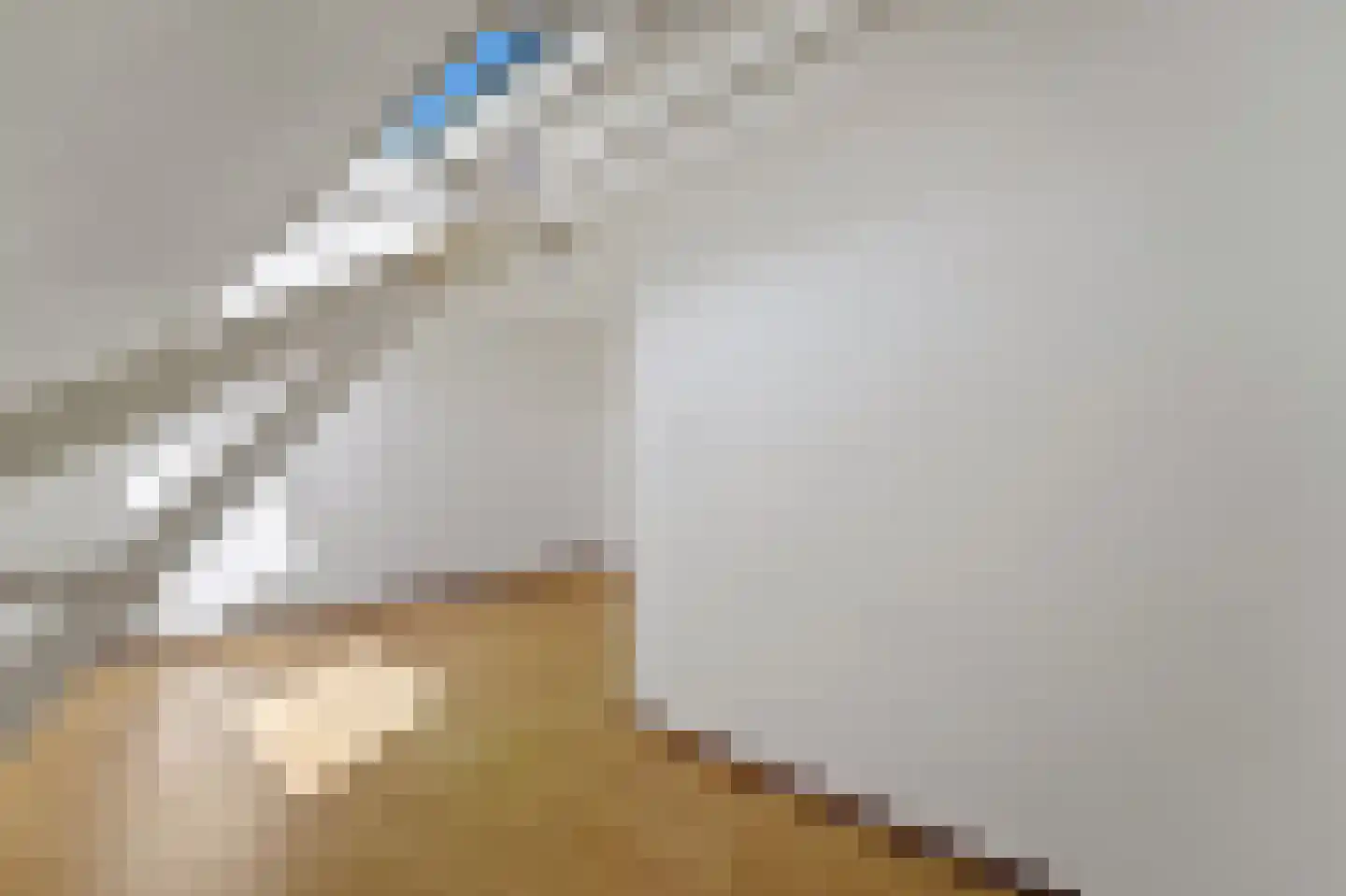 Nieuwe Schoolstraat 14 Delft thumbnail 17