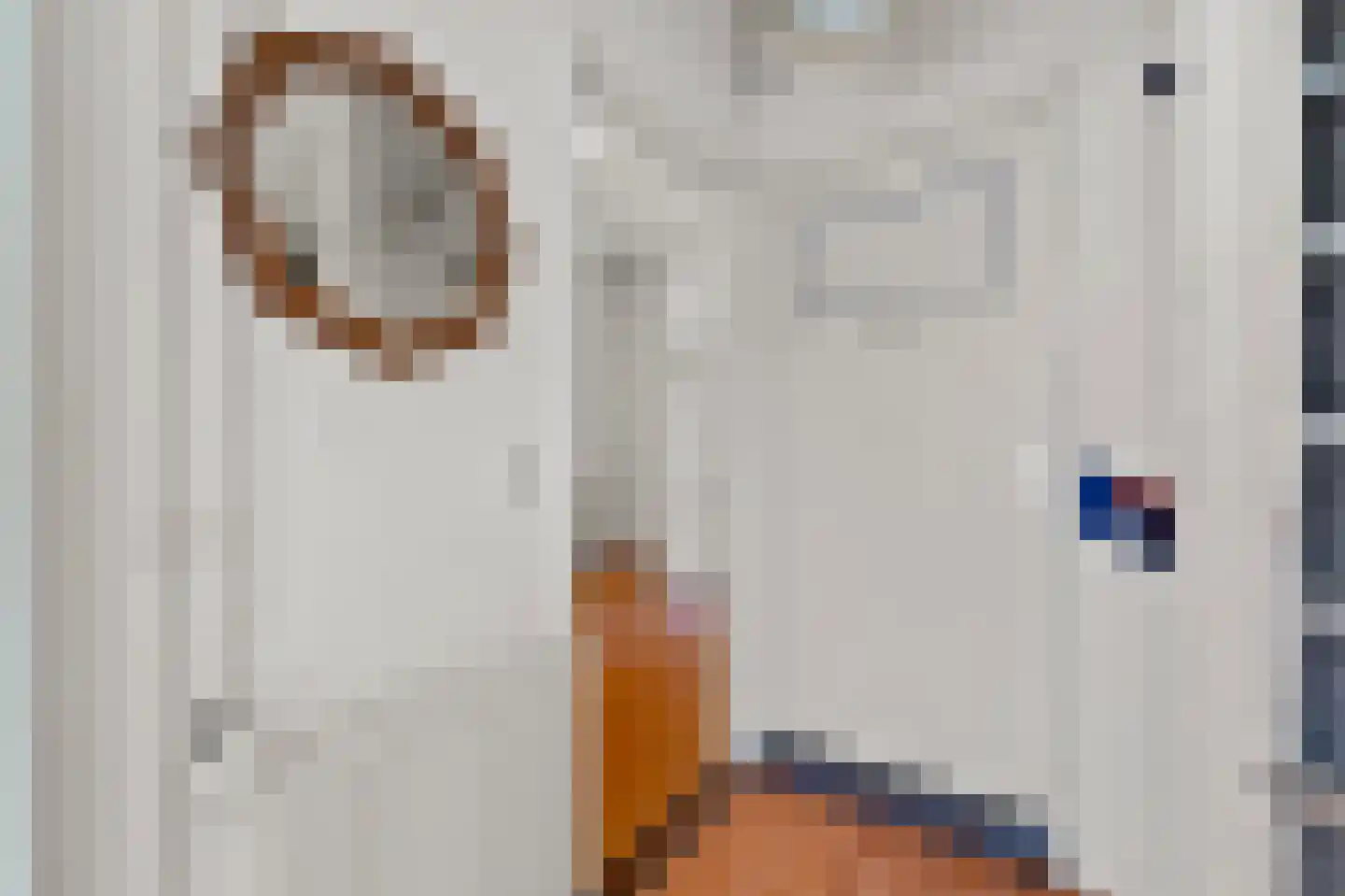 Nieuwe Schoolstraat 14 Delft thumbnail 6