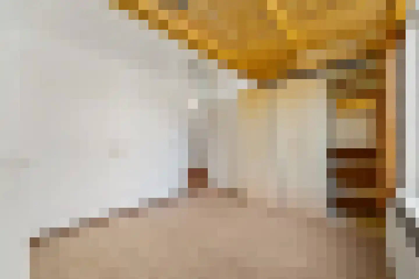 Nieuwe Schoolstraat 14 Delft thumbnail 9