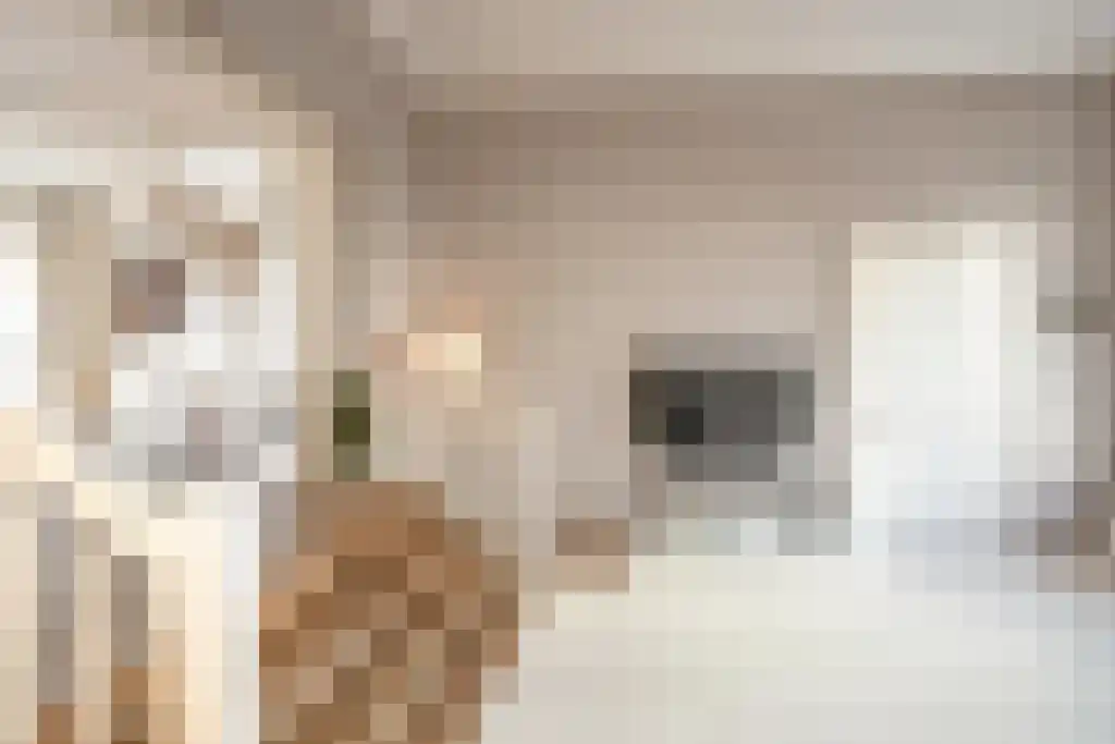 Nieuwe Schoolstraat 2 A Den Haag thumbnail 15