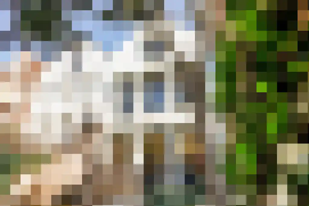Nieuwe Schoolstraat 2 A Den Haag thumbnail 19