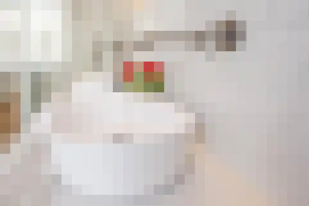 Nieuwe Schoolstraat 2 A Den Haag thumbnail 39