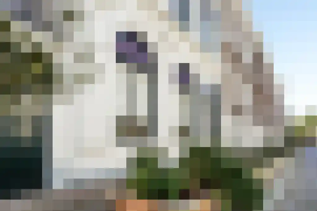 Nieuwe Schoolstraat 2 A Den Haag thumbnail 60