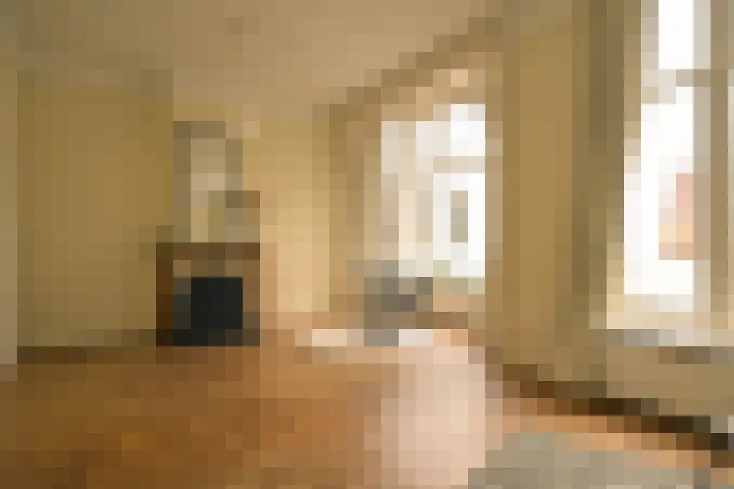 Nieuwe Schoolstraat 2 Den Haag thumbnail 13