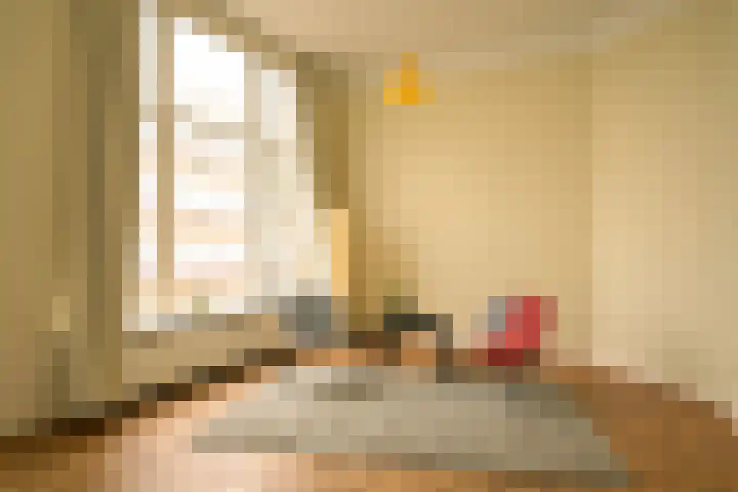 Nieuwe Schoolstraat 2 Den Haag thumbnail 15