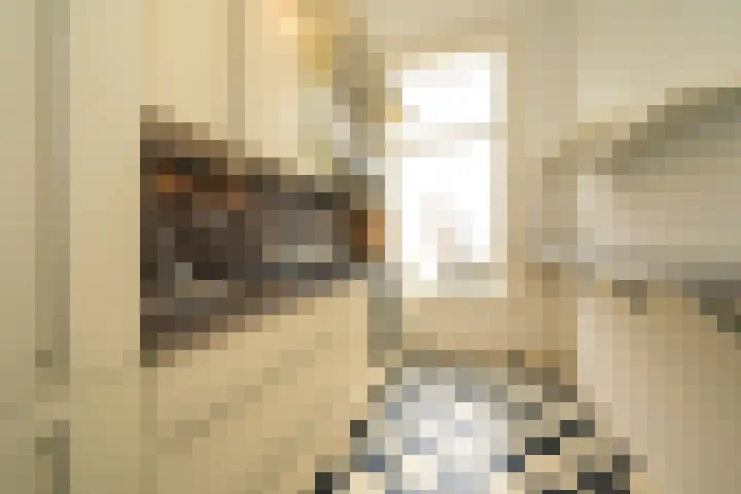 Nieuwe Schoolstraat 2 Den Haag thumbnail 17