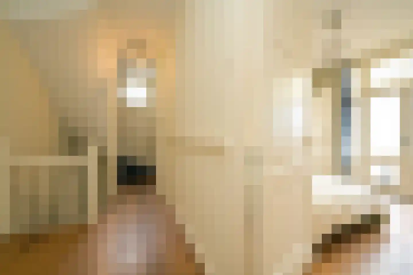 Nieuwe Schoolstraat 2 Den Haag thumbnail 20