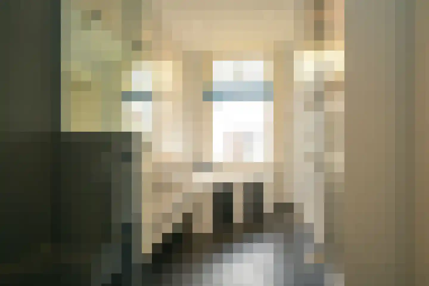 Nieuwe Schoolstraat 2 Den Haag thumbnail 30