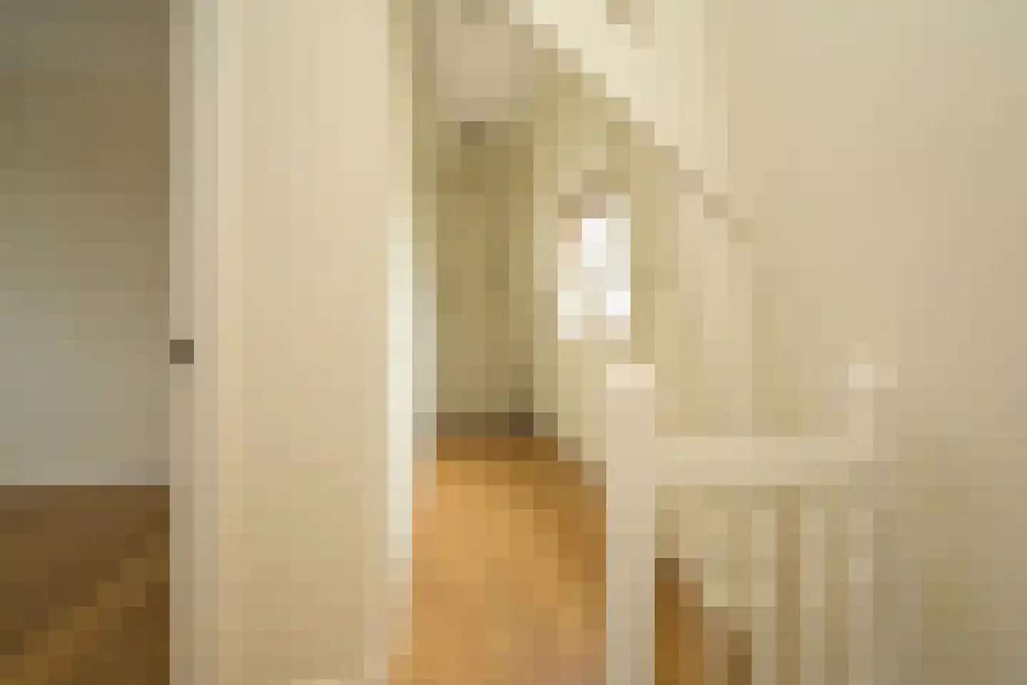 Nieuwe Schoolstraat 2 Den Haag thumbnail 32