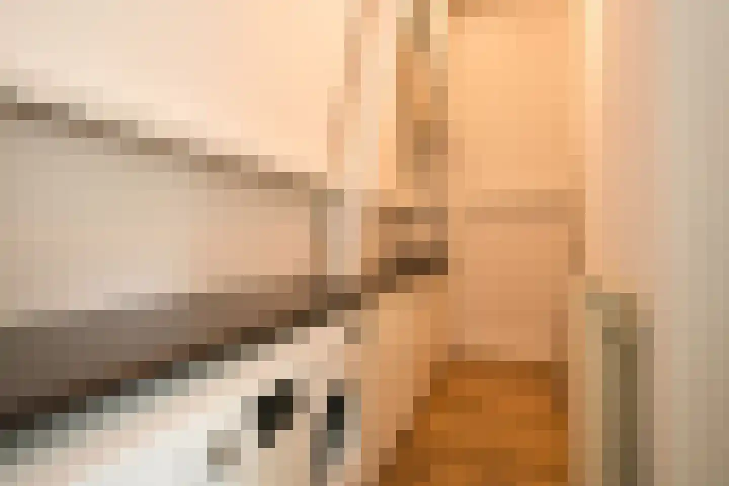 Nieuwe Schoolstraat 2 Den Haag thumbnail 33