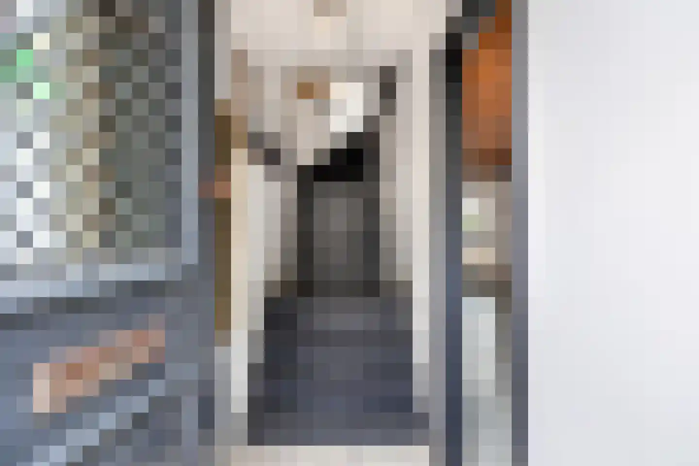 Nieuwe Schoolstraat 41 Den Haag thumbnail 13