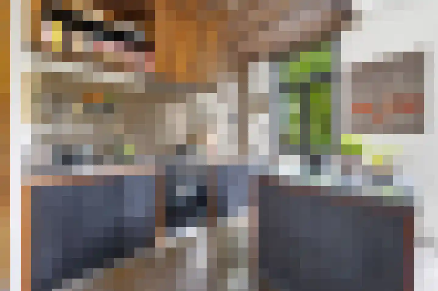Nieuwe Schoolstraat 41 Den Haag thumbnail 16